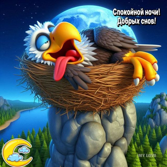 Спокойной ночи! Добрых снов!