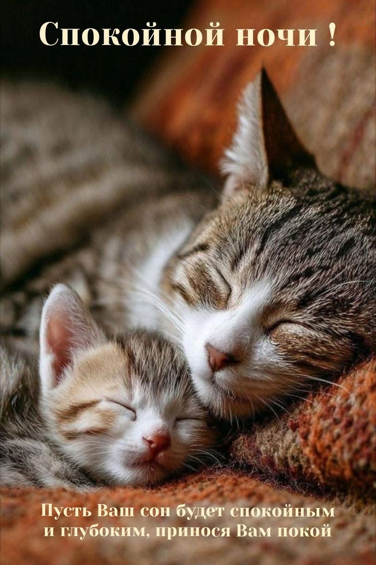 Спокойной ночи! Пусть Ваш сон будет спокойным и глубоким, приносая Вам покой