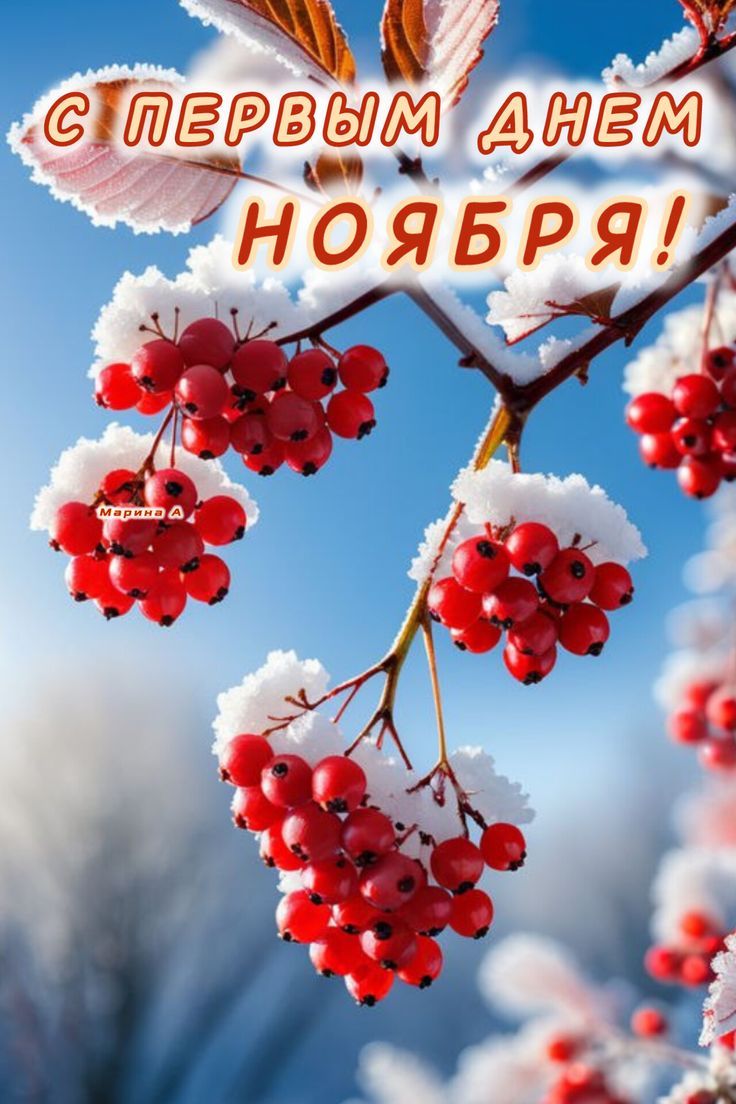 С ПЕРВЫМ ДНЕМ НОЯБРЯ!
