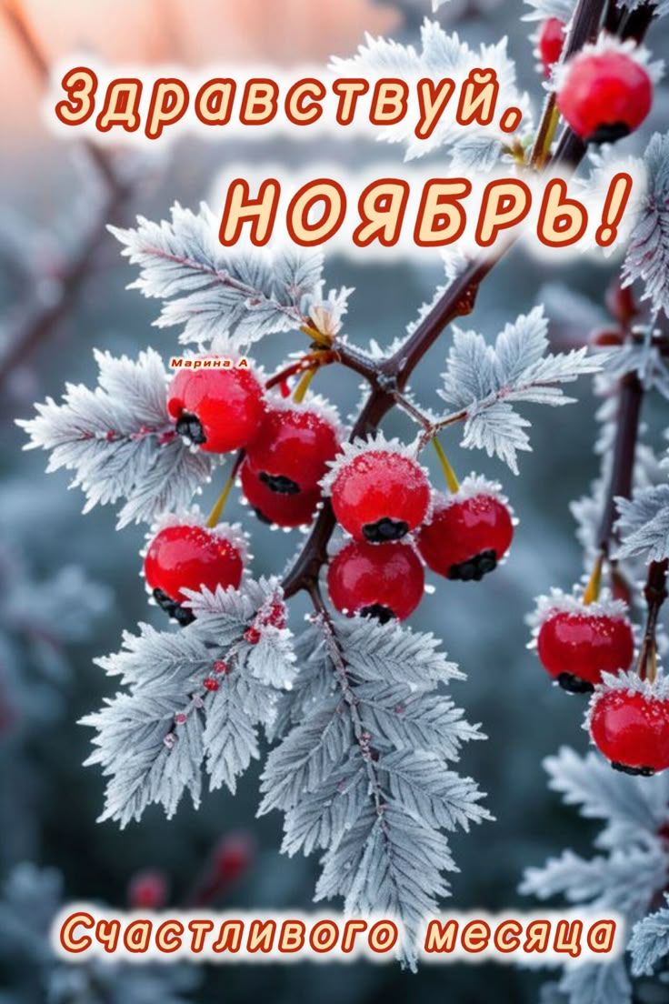 Здравствуй, НОЯБРЬ! Счастливого месяца