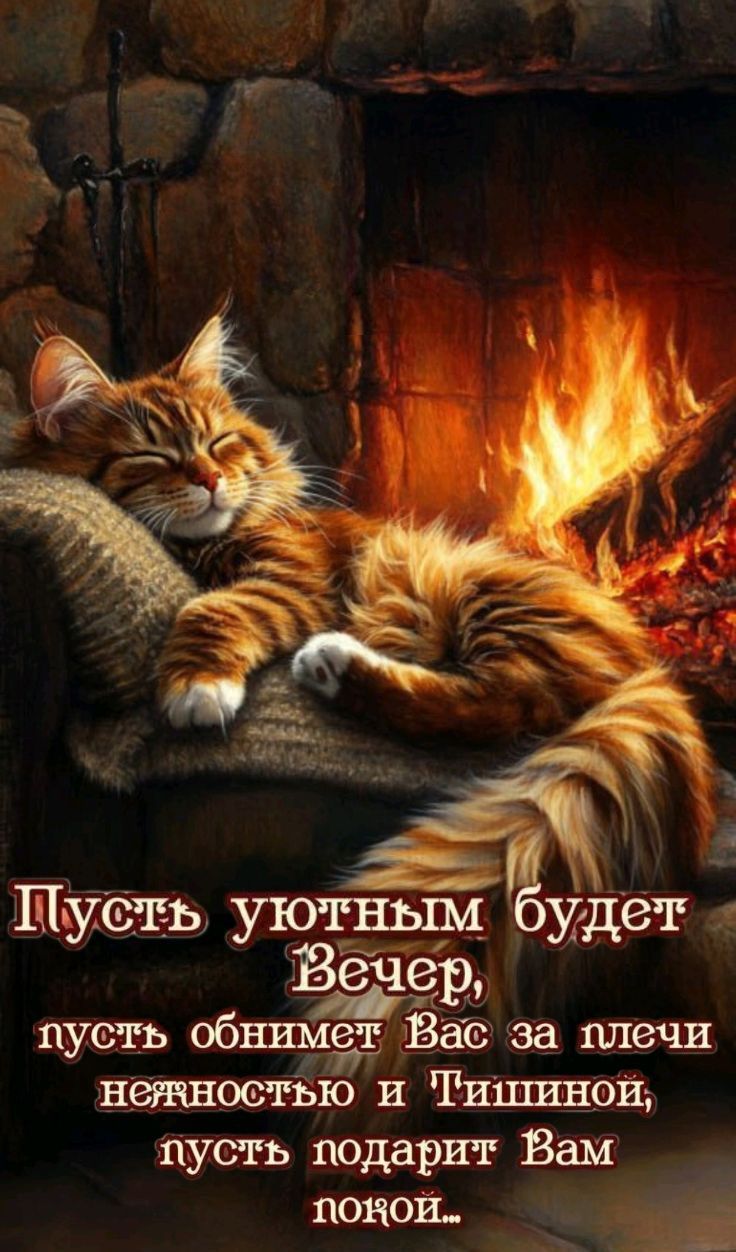 Пусть уютным будет вечер, пусть обнимет Вас за плечи нежностью и тишиной, пусть подарит Вам покой...