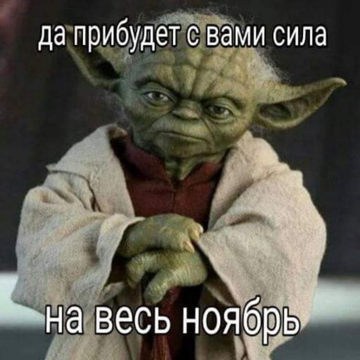 да прибудется с вами сила на весь ноябрь