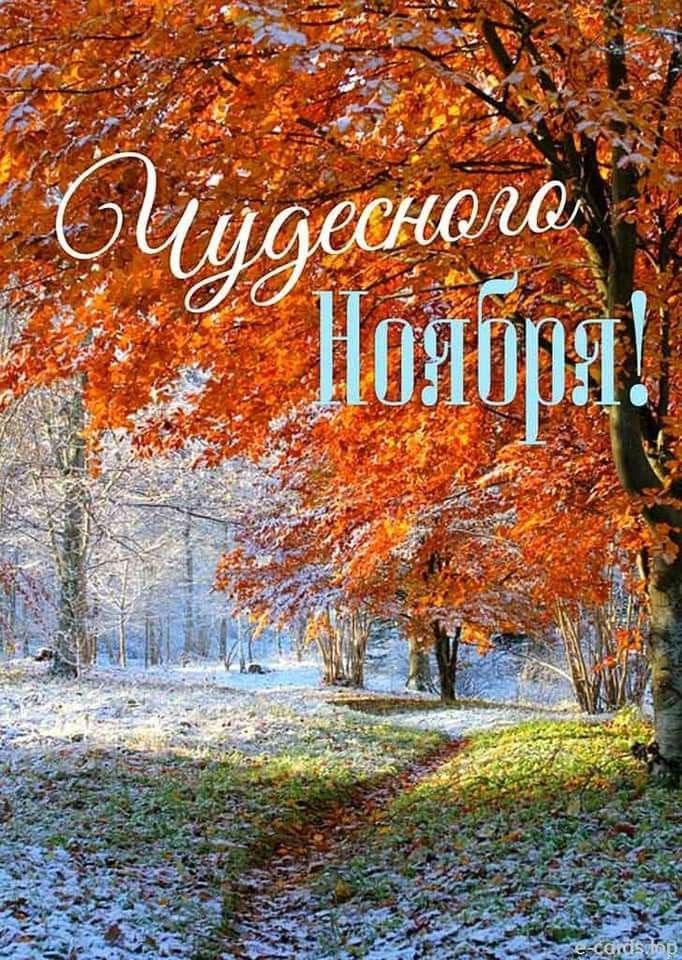 Чудесного Ноября!