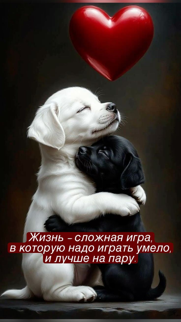 Жизнь - сложная игра, в которую надо играть умело, и лучше на пару.