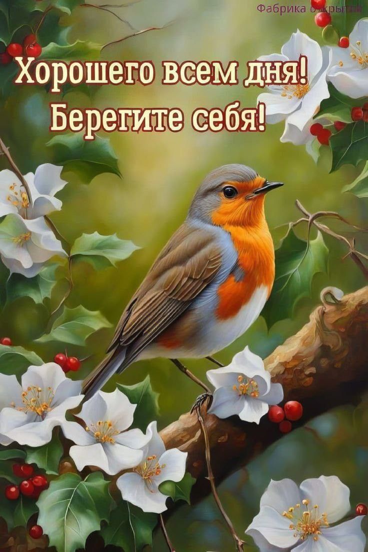 Хорошего всем дня! Берегите себя!