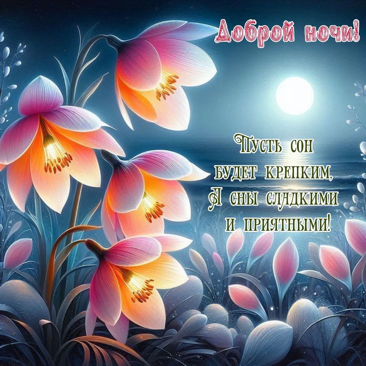 Доброй ночи! Пусть сон будет крепким, а сны сладкими и приятными!