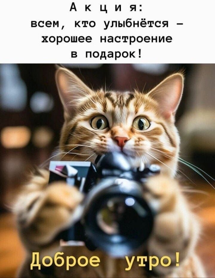 Акция: всем, кто улыбнётся - хорошее настроение в подарок! Доброе утро!