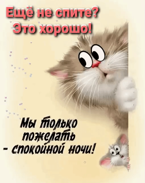 Ещё не спите? Это хорошо! Мы только пожелать - спокойной ночи!