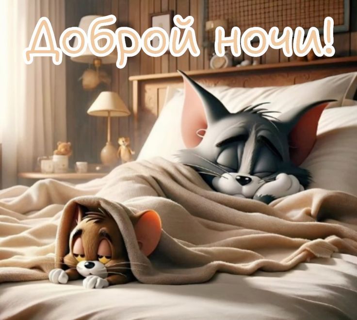 Доброй ночи!