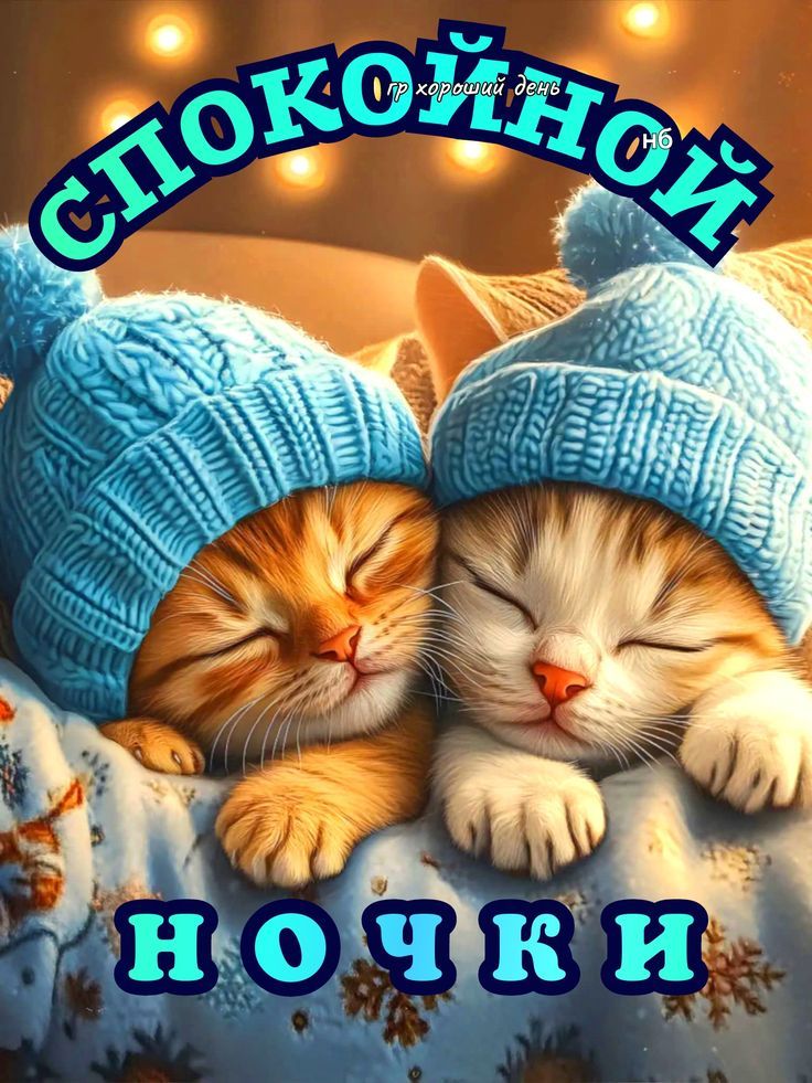 СПОКОЙНОЙ НОЧКИ
