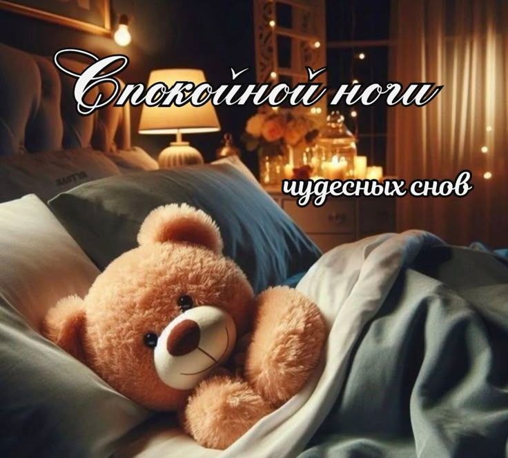 Спокойной ночи чудесных снов