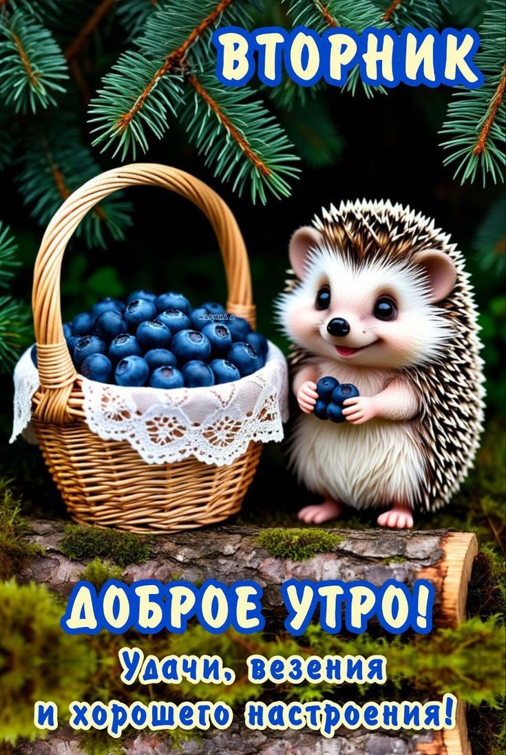 ВТОРНИК ДОБРОЕ УТРО! Удачи, везения и хорошего настроения!