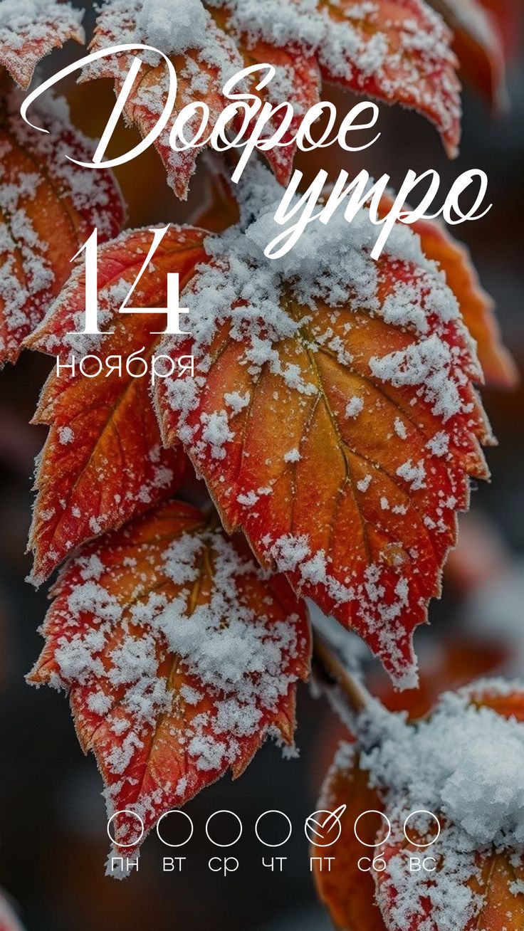 Доброе утро 14 ноября