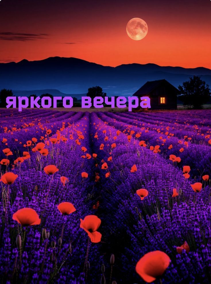 яркого вечера