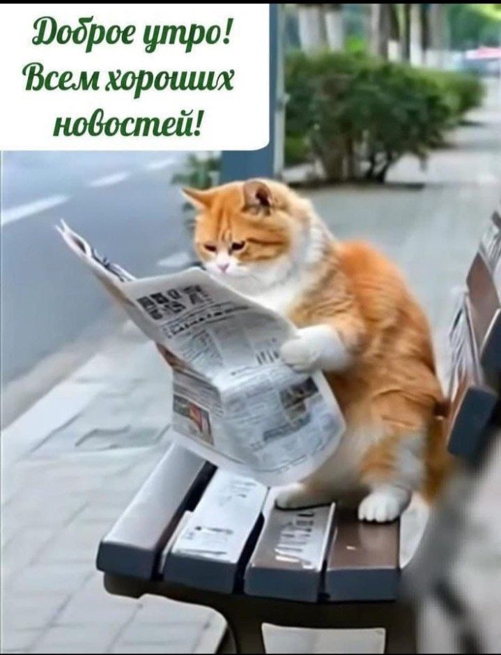 Доброе утро! Всем хороших новостей!