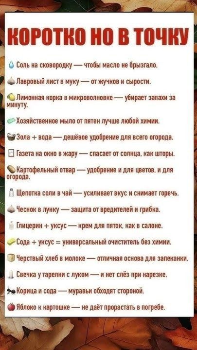 КОРОТКО НО В ТОЧКУ
Соль на сковородку — чтобы масло не брызгало.
Лавровый лист в муку — от жучков и сырости.
Лимонная корка в микроволновке — убирает запахи за минуту.
Хозяйственное мыло от пятен лучше любой химии.
Зола + вода — дешевое удобрение для всего огорода.