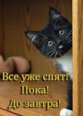 Все уже спят! Пока! До завтра!