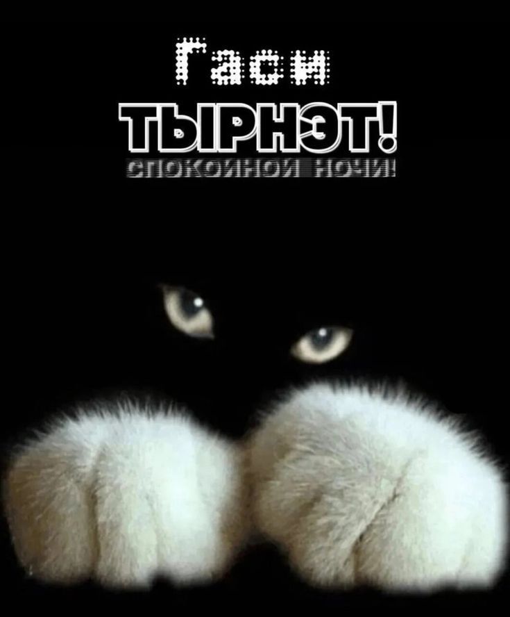 Гаси Тырнет! спокойной ночи