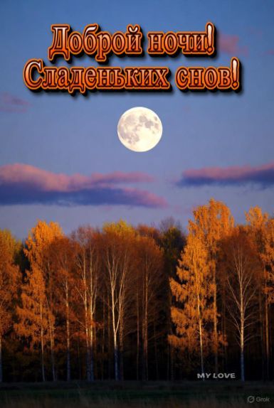 Доброй ночи! Сладких снов!
