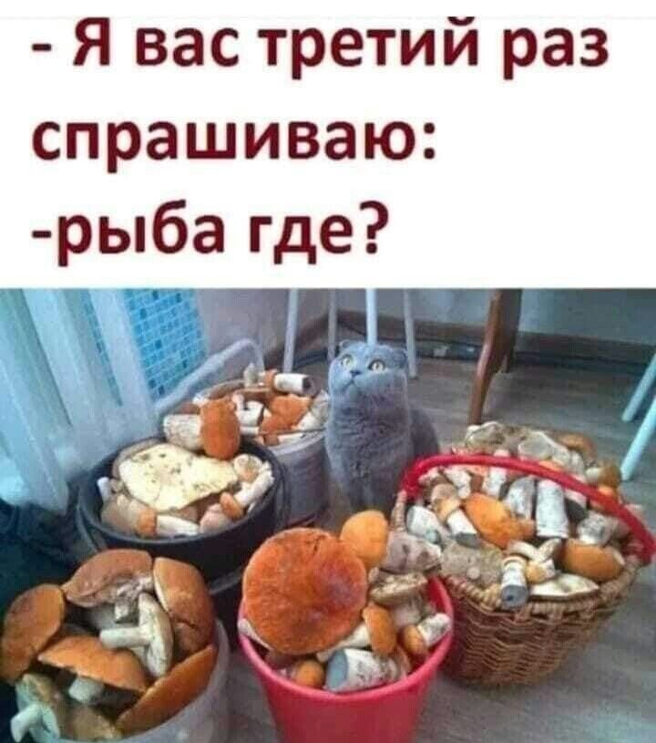 - Я вас третий раз спрашиваю: -рыба где?