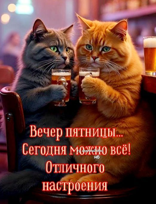 Вечер пятницы... Сегодня можно всё! Отличного настроения