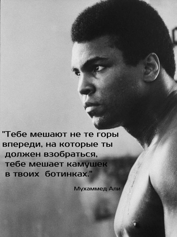 Тебе мешают не те горы впереди, на которые ты должен взобраться, тебе мешает камушек в твоих ботинках.