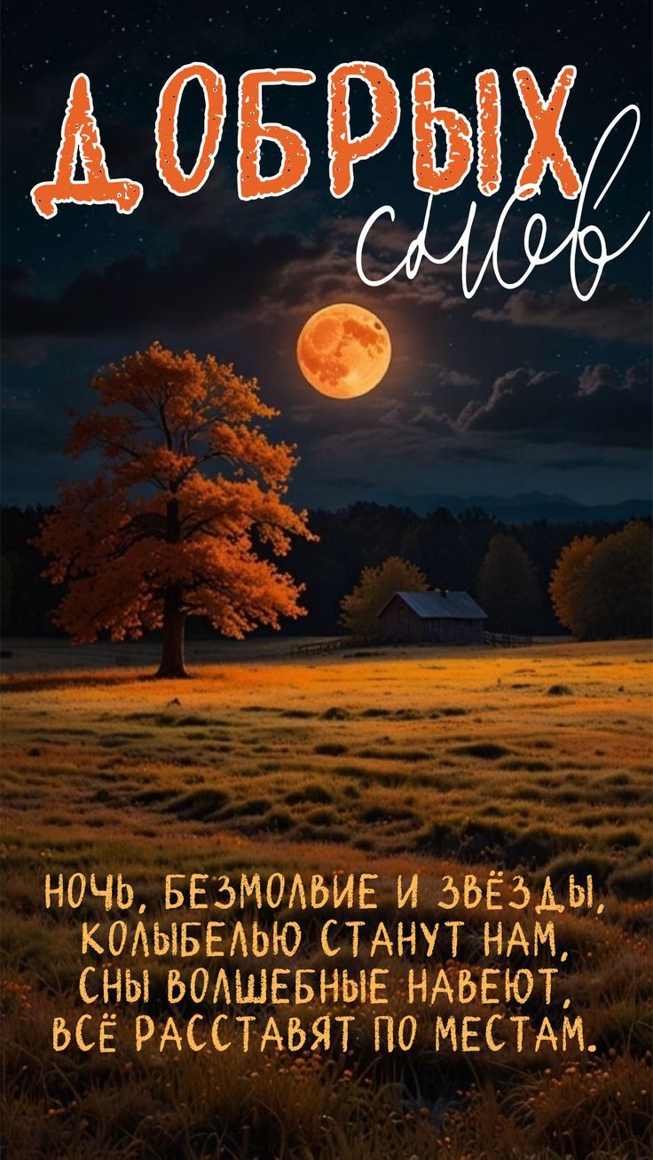 ДОБРЫХ снов
ночь, безмолвие и звёзды, колыбельно станут нам, сны волшебные навеют, всё расставят по местам.