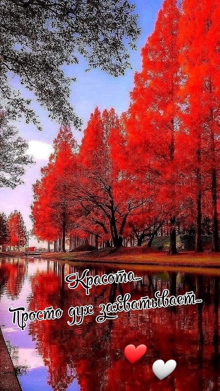 Красота... Просто душе засыпивает...