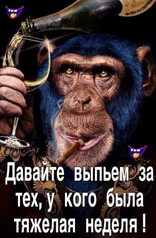 Давайте выпьем за тех, у кого была тяжелая неделя!