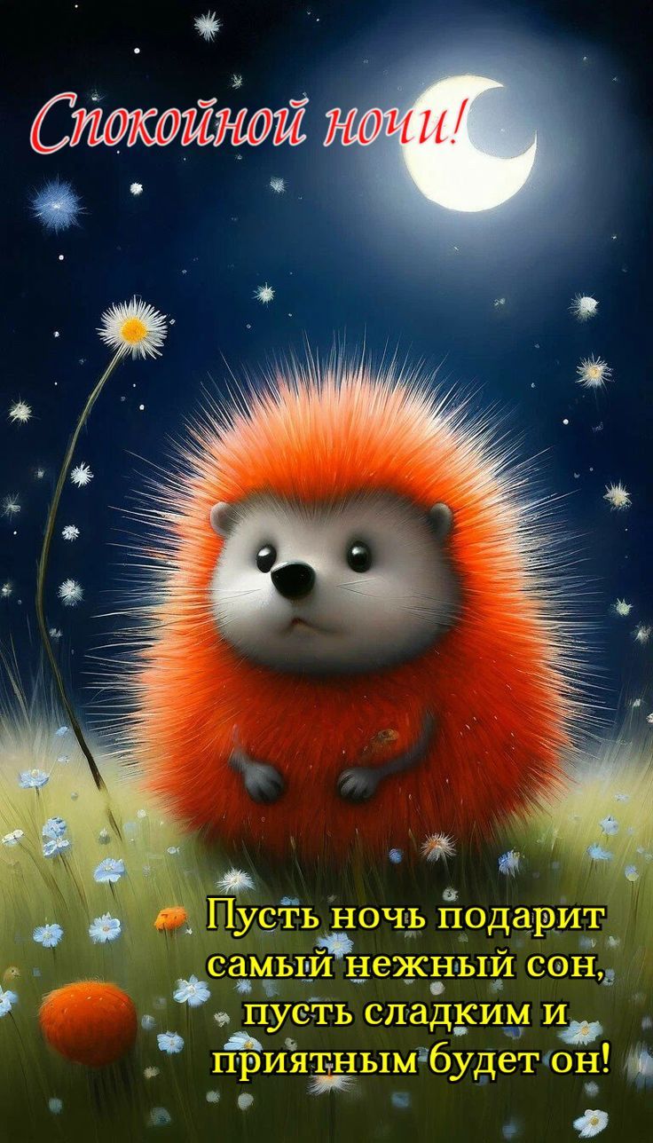 Спокойной ночи!\nПусть ночь подарит самый нежный сон, пусть сладким и приятным будет он!