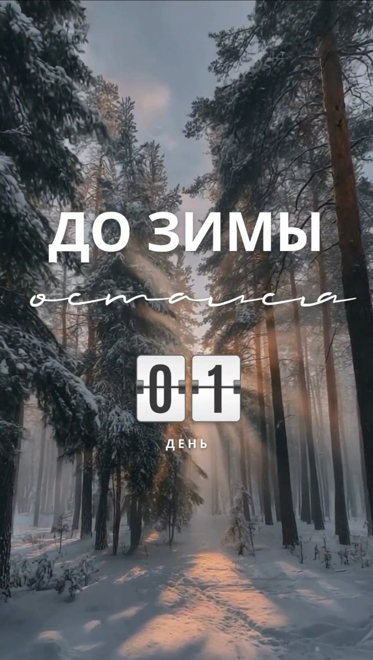 ДО ЗИМЫ осталось 01 ДЕНЬ