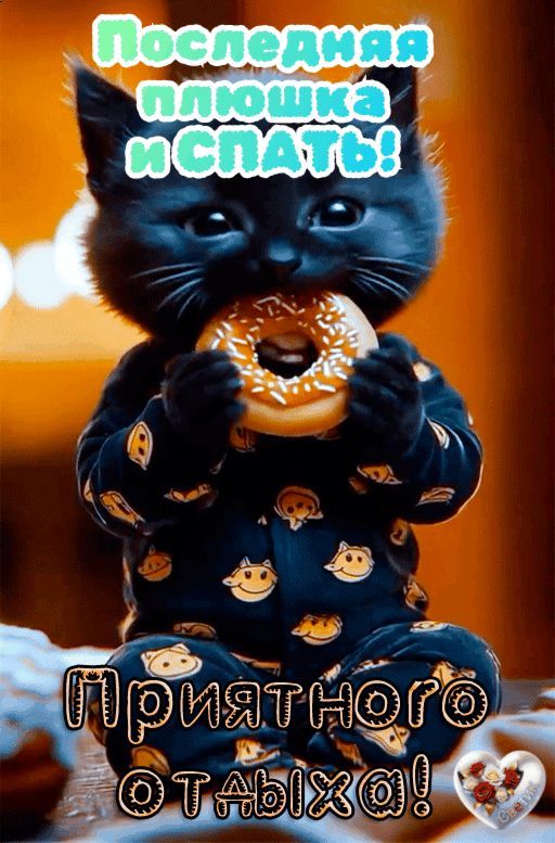 Последняя плюшка и спать! Приятного отдыха!