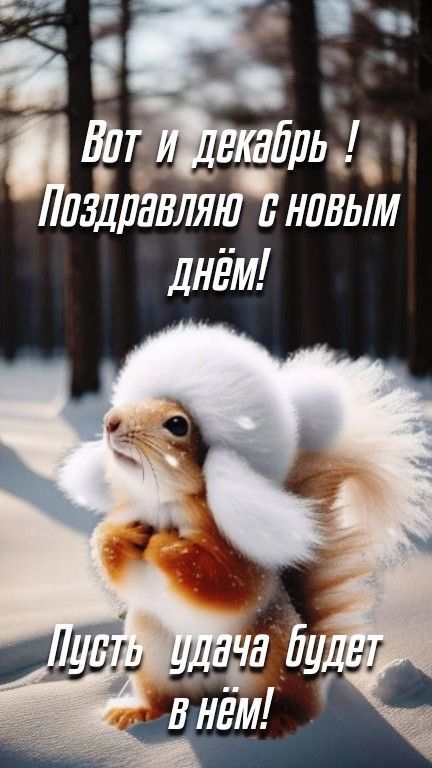 Вот и декабрь! Поздравляю с новым днём! Пусть удача будет в нём!