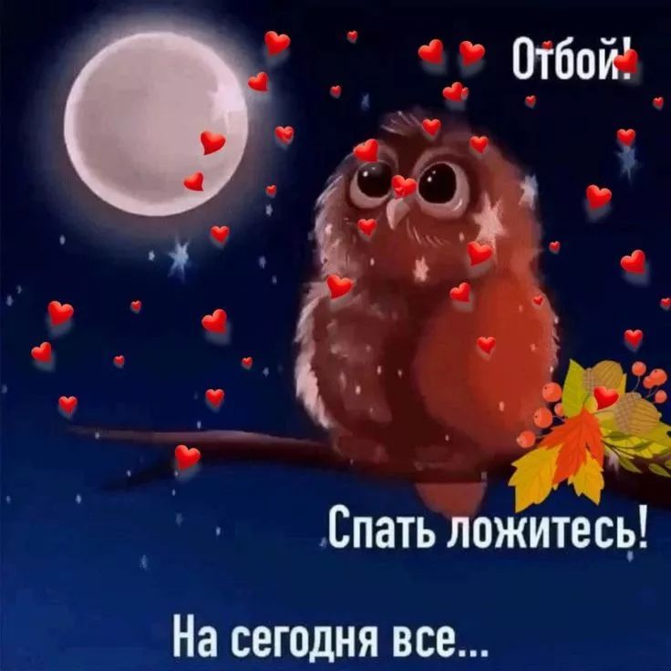 Отбой. Спать ложитесь! На сегодня все...