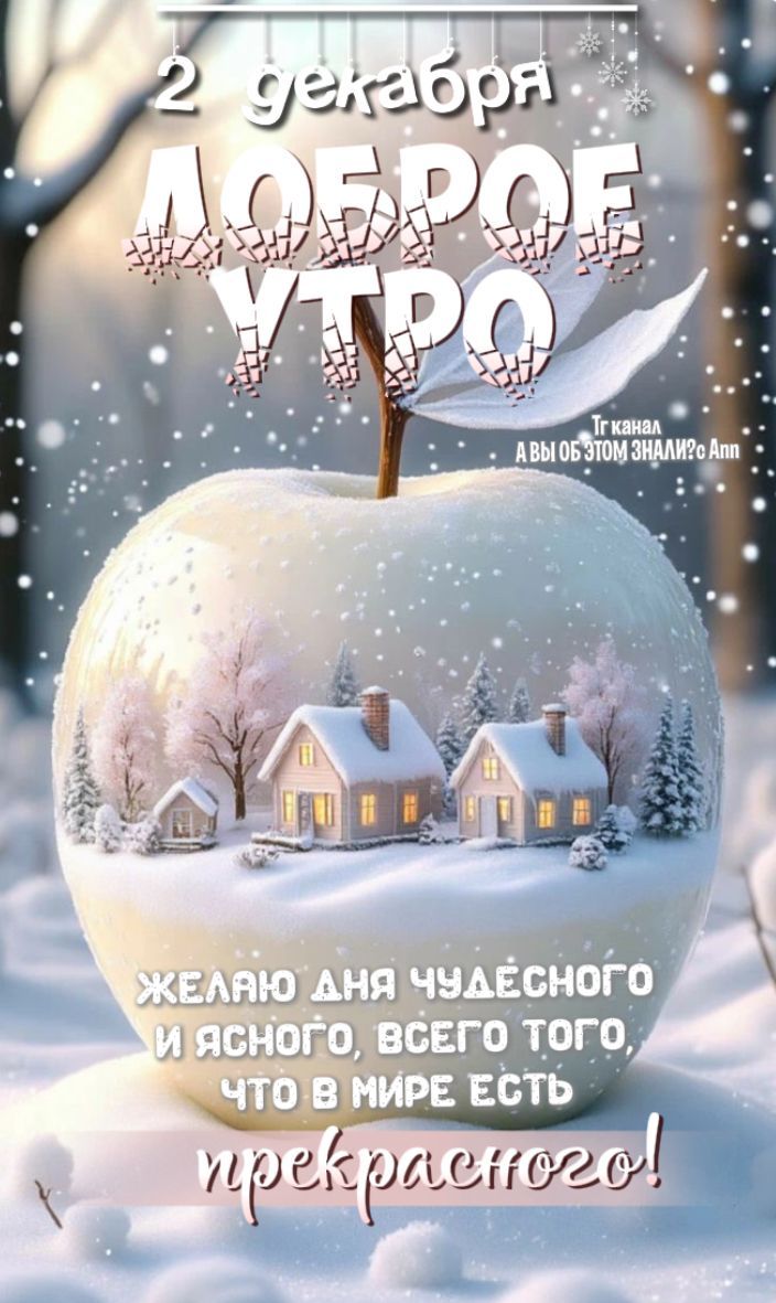 2 декабря ДОБРОЕ УТРО. ЖЕЛАЮ ДНЯ ЧУДЕСНОГО И ЯСНОГО, ВСЕГО ТЕГО, ЧТО В МИРЕ ЕСТЬ ПРЕКРАСНОГО! 