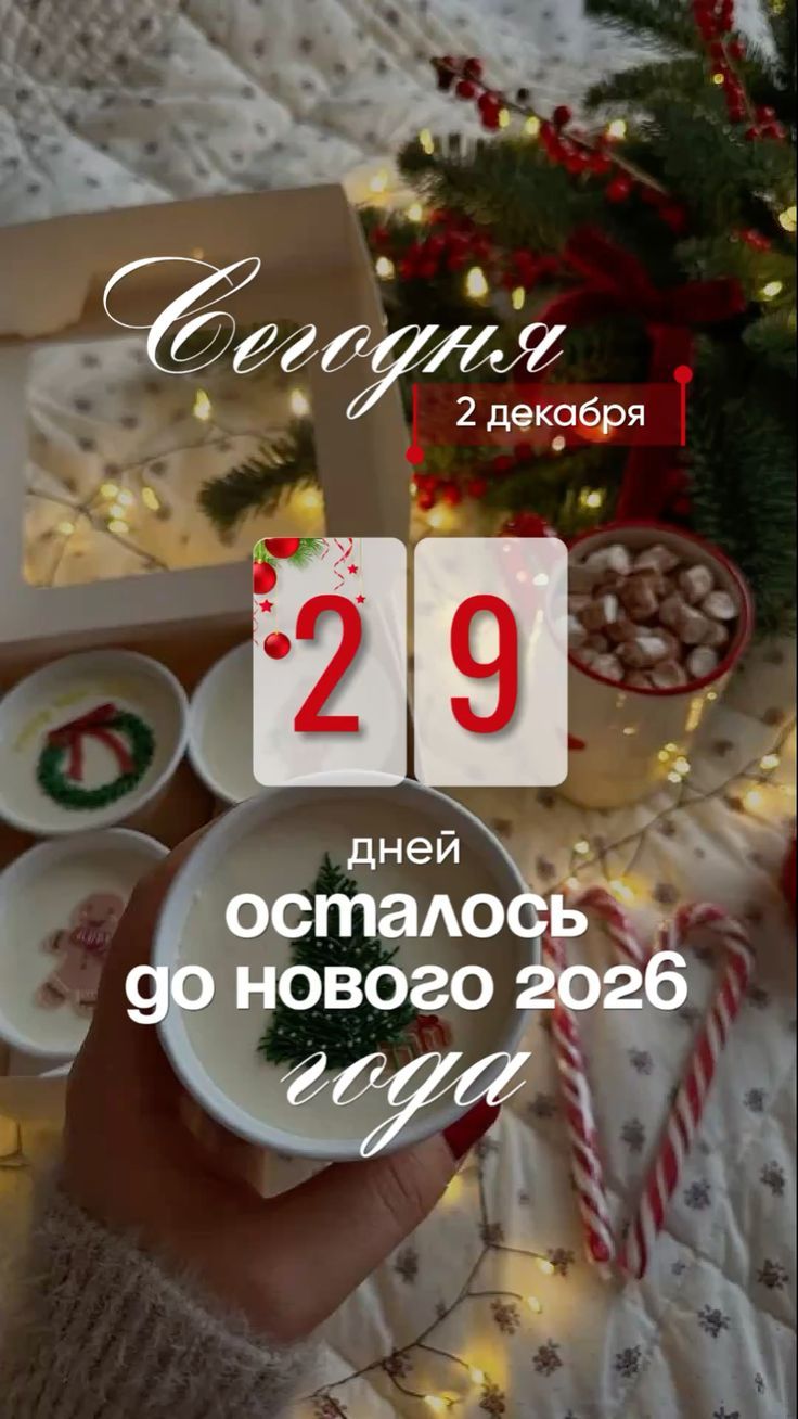 Сегодня 2 декабря. 29 дней осталось до нового 2026 года
