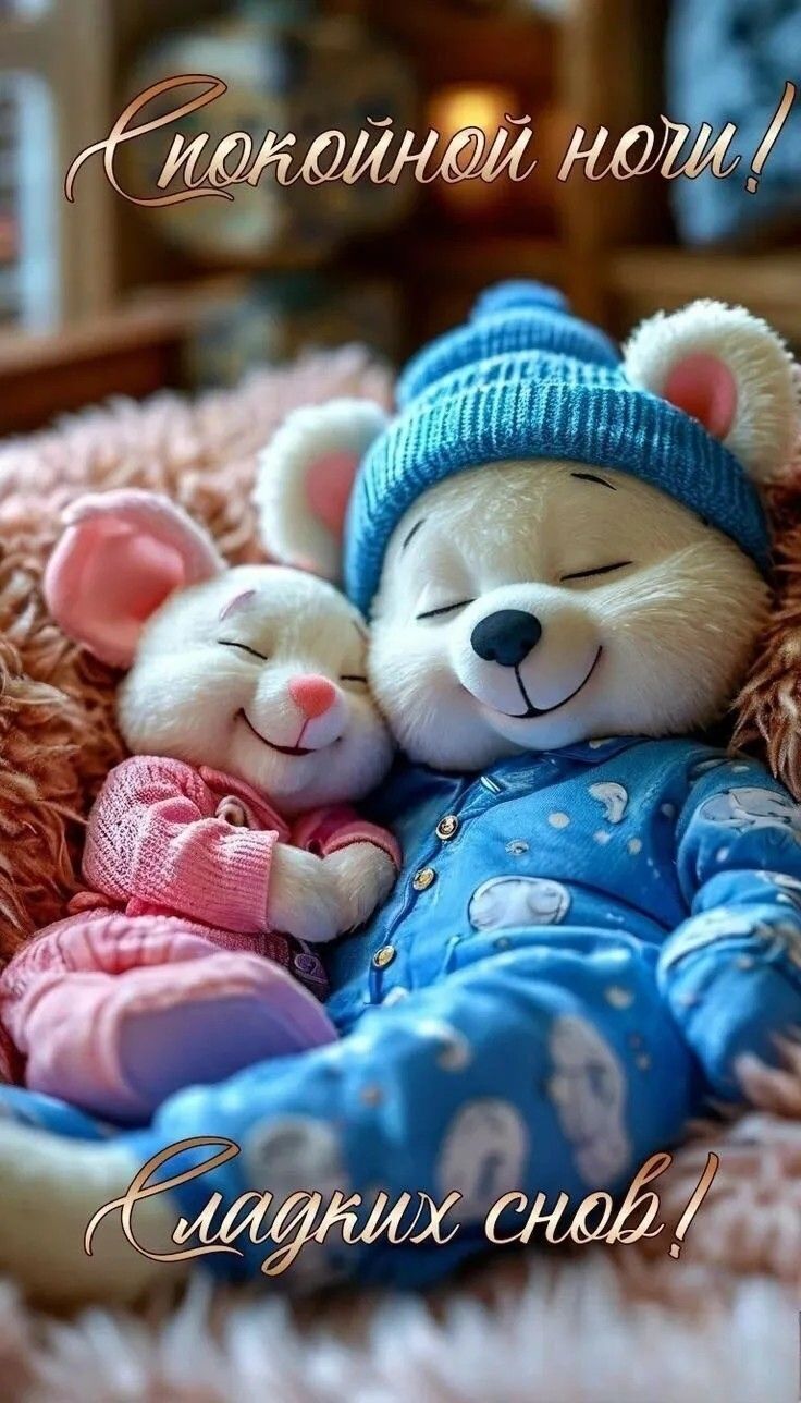 Спокойной ночи! Сладких снов!