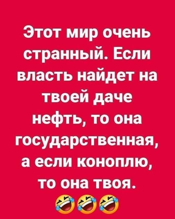 Этот мир очень странный. Если власть найдёт на твоей даче нефть, то она государственная, а если коноплю, то она твоя.
