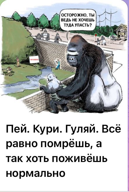 Пей. Кури. Гуляй. Всё равно помрёшь, а так хоть поживёшь нормально