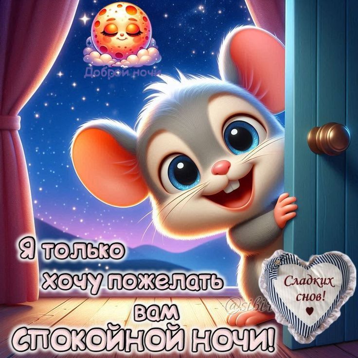 Я только хочу пожелать вам спокойной ночи! Доброй ночи Сладких снов!