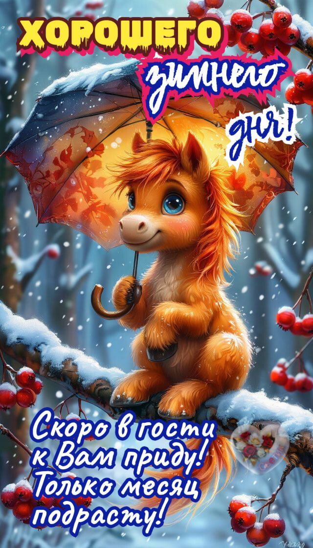 ХОРОШЕГО зимнего дня! Скоро в гости к Вам приду! Только месяц подрасту!
