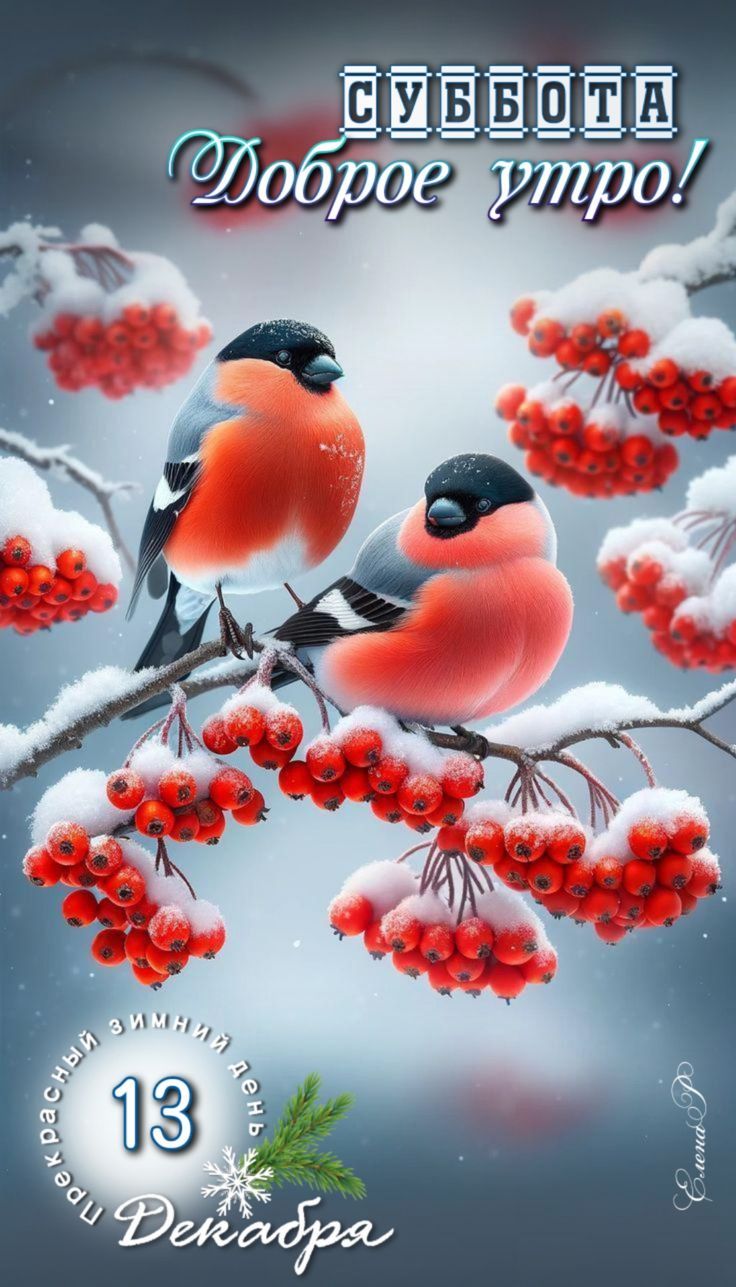 СУББОТА Доброе утро! 13 декабря