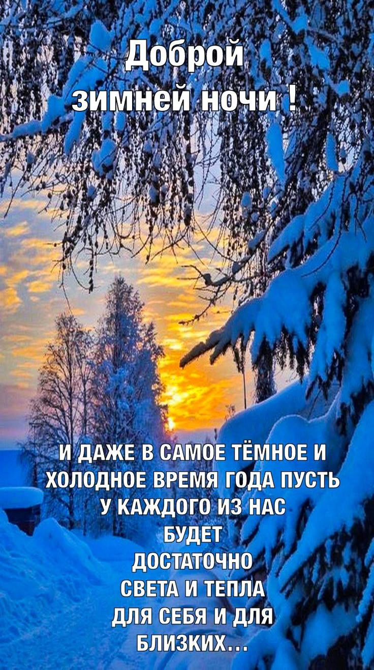 Доброй зимней ночи! И даже в самое тёмное и холодное время года пусть у каждого из нас будет достаточно света и тепла для себя и для близких…