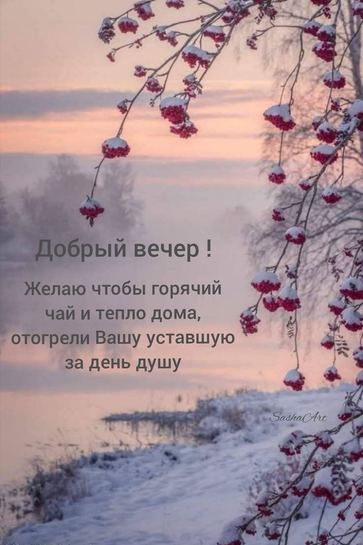 Добрый вечер! Желаю чтобы горячий чай и тепло дома, отогрели Вашу усталую за день душу