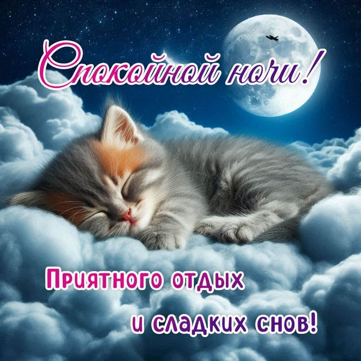 Спокойной ночи!
Приятного отдыха и сладких снов!