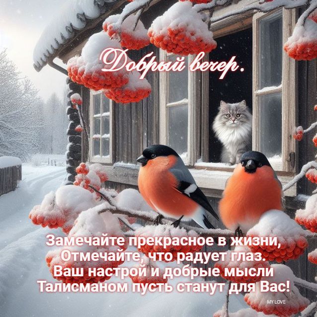 Добрый вечер. Замечайте прекрасное в жизни, Отмечайте, что радует глаз. Ваш настрой и добрые мысли Талисманом пусть станут для Вас!