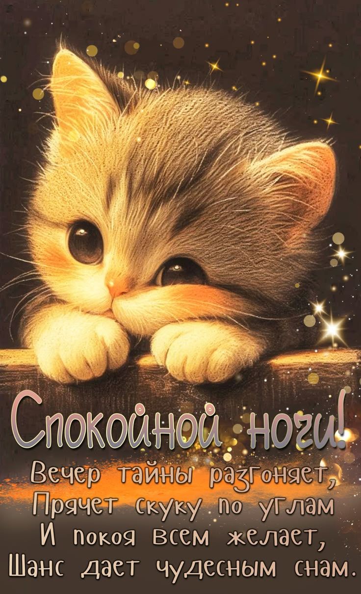 Спокойной ночи! 
Вечер тайны разгоняет, 
Прячет скуку по углам 
И покой всем желает, 
Шанс даёт чудесным снам.
