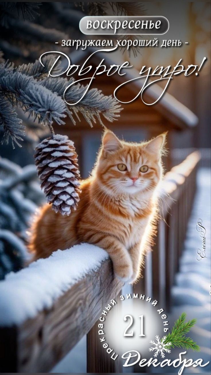 воскресенье - загружаем хороший день - Доброе утро! 21 Декабря