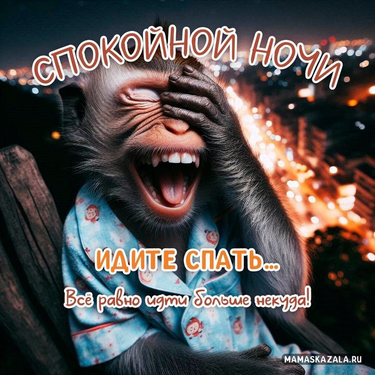 СПОКОЙНОЙ НОЧИ
ИДИТЕ СПАТЬ...
Всё равно идти больше некуда!