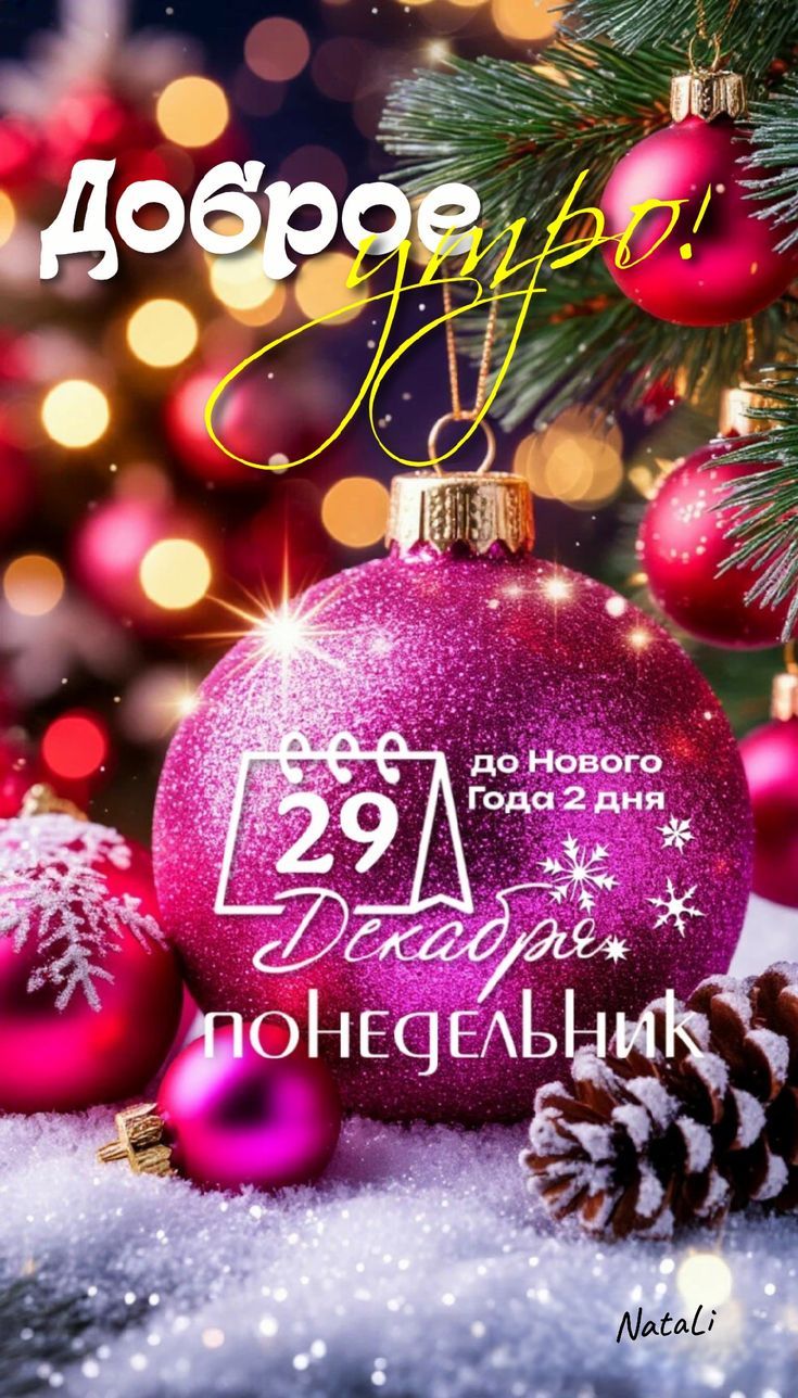 Доброе утро! 29 Декабря понедельник до Нового Года 2 дня